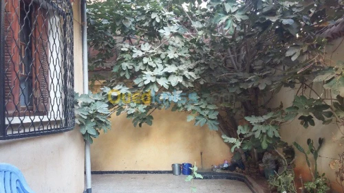 Vente Villa Tipaza Bou ismail