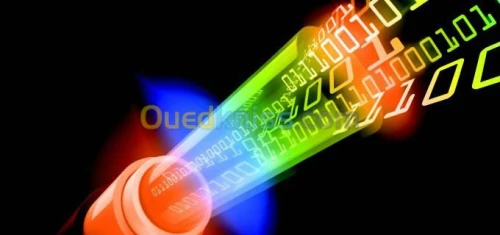 Inst des reseaux et de centrale  