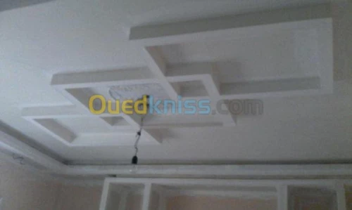 peinture et placopltre et faux plfonds