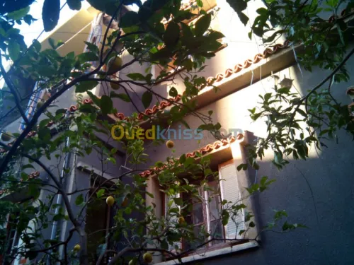 Vente Villa Blida Blida