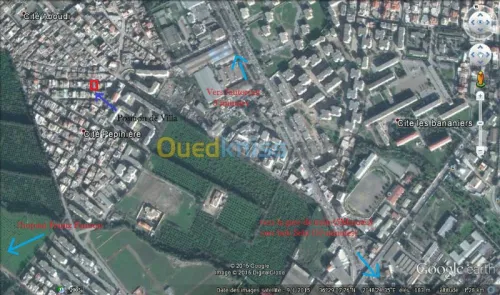 Vente Villa Blida Blida