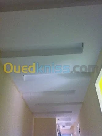 f/pose placopltre ba 13