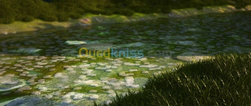 formation 3DS MAX et VRAY