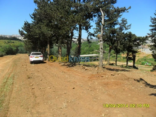 Vente Terrain Alger Saoula
