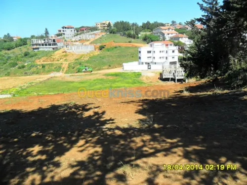 Vente Terrain Alger Saoula
