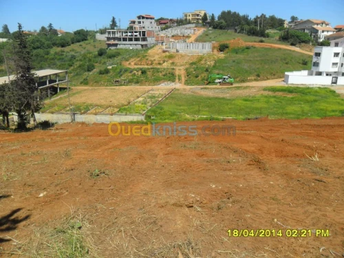 Vente Terrain Alger Saoula