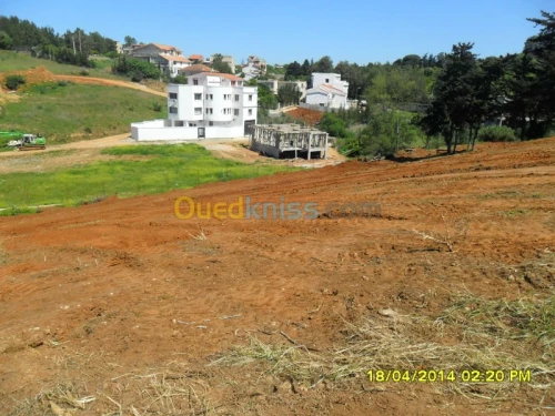 Vente Terrain Alger Saoula
