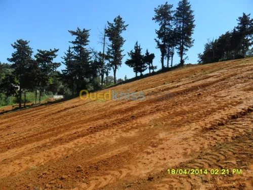 Vente Terrain Alger Saoula
