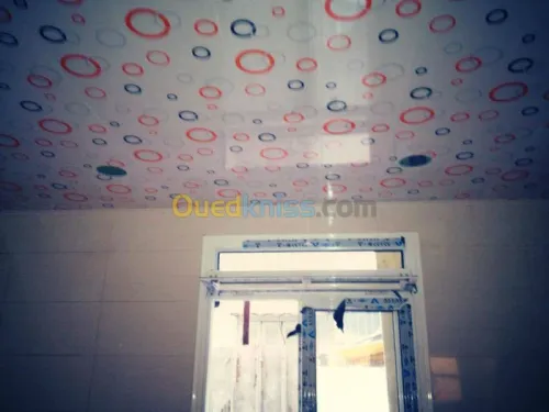 Menuiserie aluminium et plafond en pvc