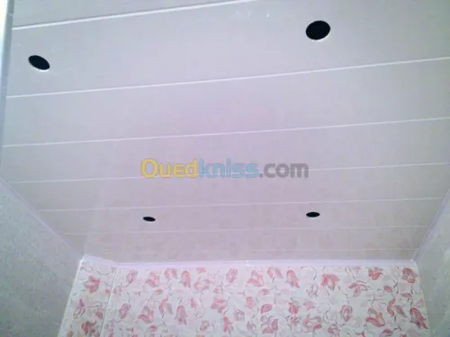 Menuiserie aluminium et plafond en pvc