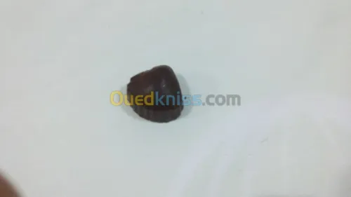 Chocolat Pour divers occasions