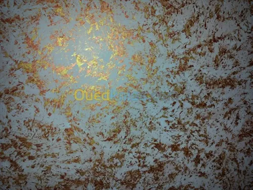  peinture decorative placo platre.