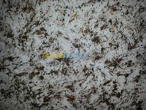  peinture decorative placo platre.