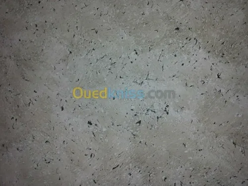  peinture decorative placo platre.