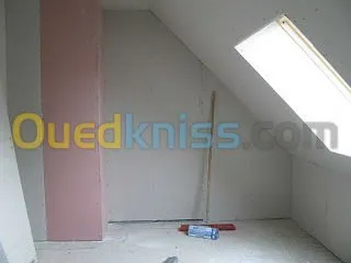 faux plafo demontab et habillage placo