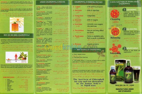 SPLINA CHLOROPHYLLE LIQUIDE