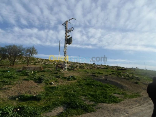 Vente Terrain Tiaret Guertoufa