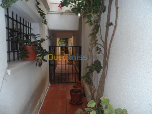Location Villa Alger Kouba