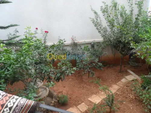 Location Villa Alger Kouba