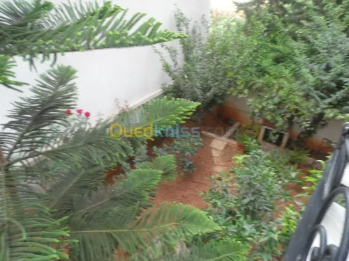 Location Villa Alger Kouba