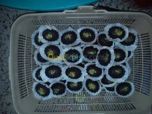 spesialistes des gâteaux 