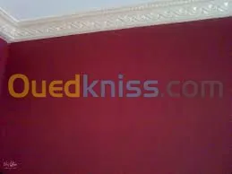 pientre interieur et exterieur 