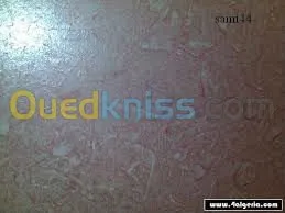 pientre interieur et exterieur 