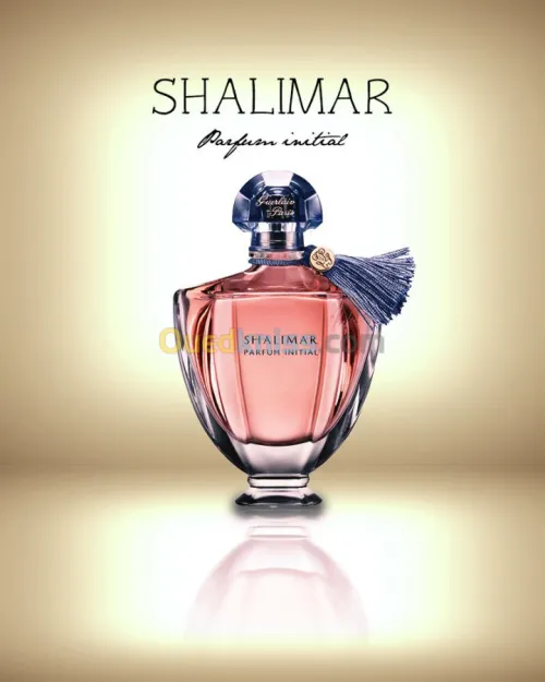 Infographe freelance 