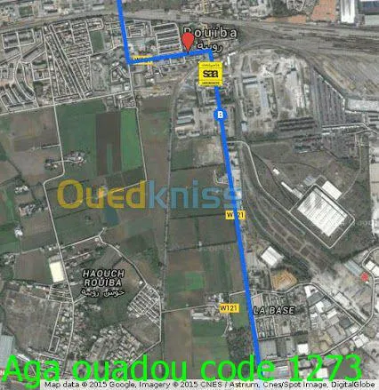 assurances toutes branches