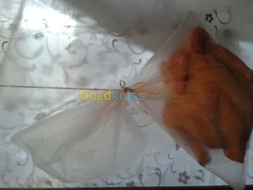 fabrication de sac en plastique