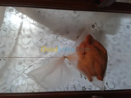 fabrication de sac en plastique