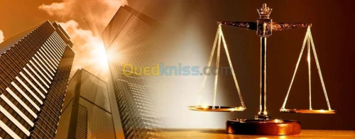 AVOCATE agrée par la cour 