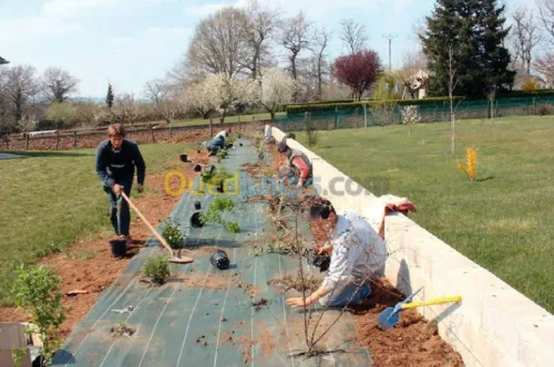 amenagement des espaces verts 