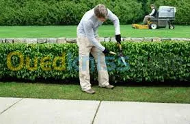 amenagement des espaces verts 