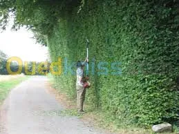 amenagement des espaces verts 