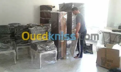 DEMENAGEMENT /PARTICULIER/MANUTENTION