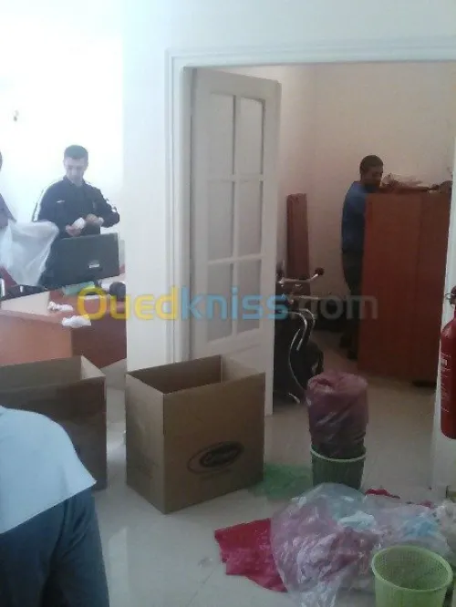 DEMENAGEMENT /PARTICULIER/MANUTENTION