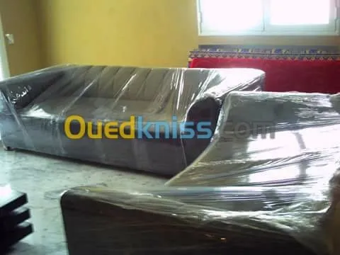 DEMENAGEMENT /PARTICULIER/MANUTENTION