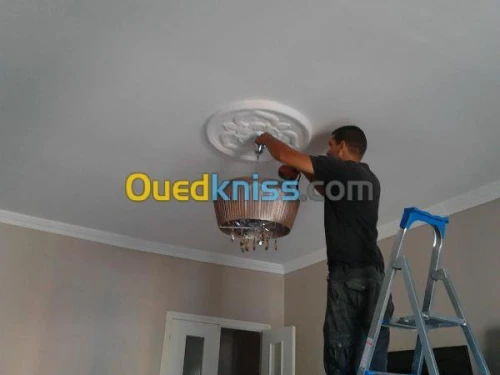 DEMENAGEMENT /PARTICULIER/MANUTENTION