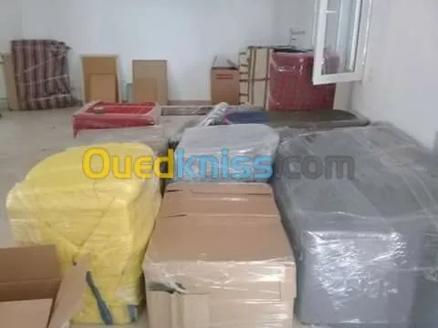 DEMENAGEMENT /PARTICULIER/MANUTENTION