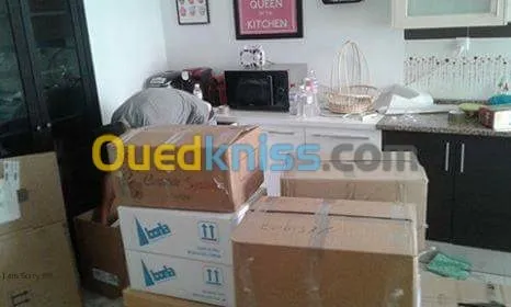 DEMENAGEMENT /PARTICULIER/MANUTENTION