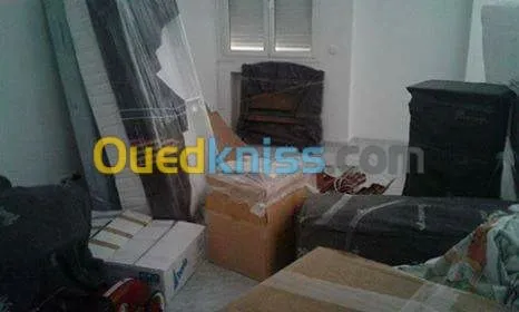 DEMENAGEMENT /PARTICULIER/MANUTENTION