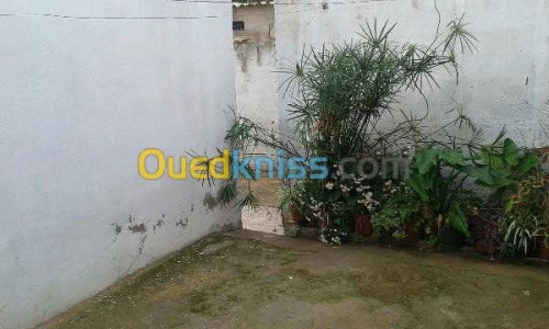Vente Appartement F3 Tlemcen Ghazaouet
