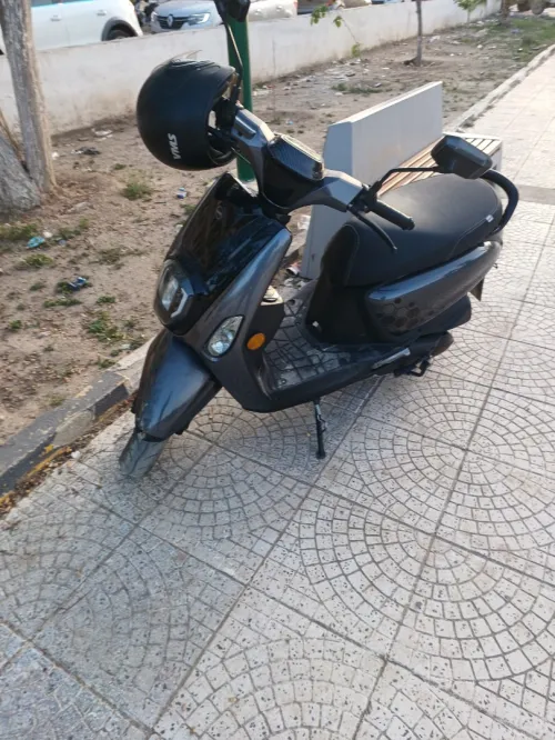 Vms Estate x 2024