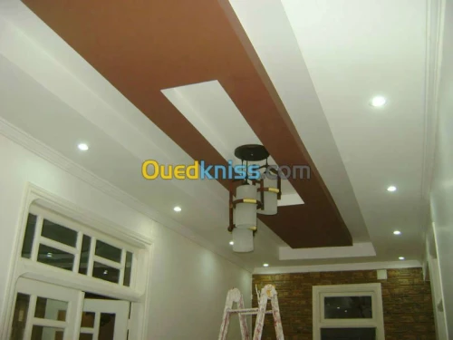 F. ET POSE PLACO et f plafond