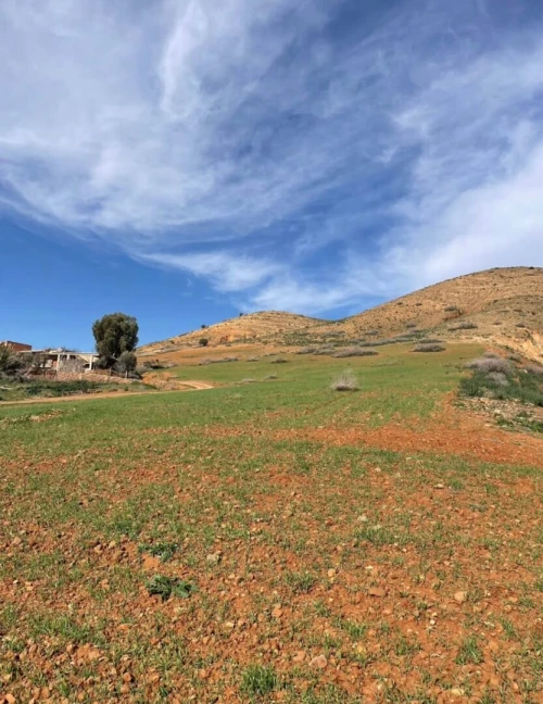 Vente Terrain Aïn Defla El abadia