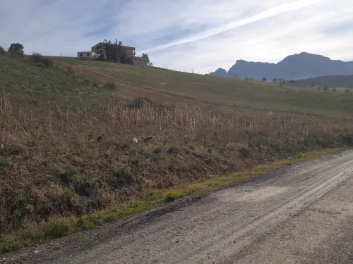 Vente Terrain Tizi Ouzou Ouadhia