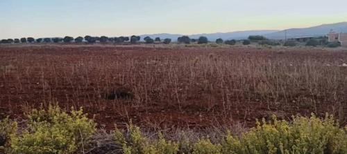 Vente Terrain Tlemcen Dar yaghmouracene
