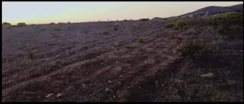 Vente Terrain Tlemcen Dar yaghmouracene