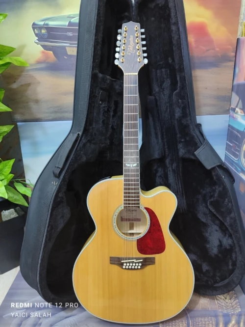 5 Guitares 12 cordes à vendre.